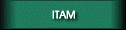 Instituto Tecnolgico Autnomo de Mxico